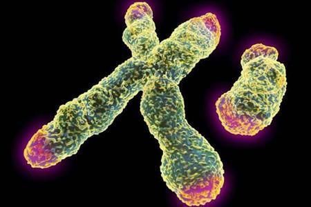 癌症|胰腺癌为何“青睐”中年男性？医生提醒：“3类”群体不妨早预防