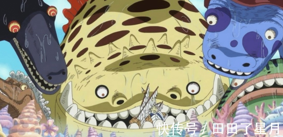 海贼世界|海贼王象主会不会是海贼世界最大生物