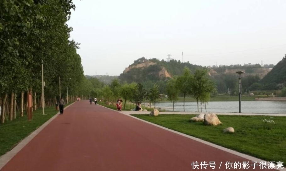 河南一处“大型”公园走红,面积过万亩,位于黄河之畔