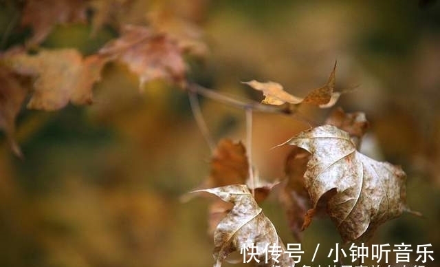 宝藏地|吉林旅游宝藏地，两个风格迥异的红叶谷，你更喜欢哪一个