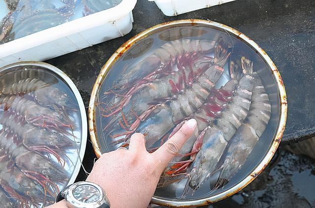优质蛋白质|含“寄生虫”最多的2种海鲜,没营养还贵,老板自己都不吃