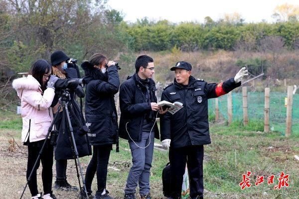 湿地|府河湿地成候鸟乐园｜图集