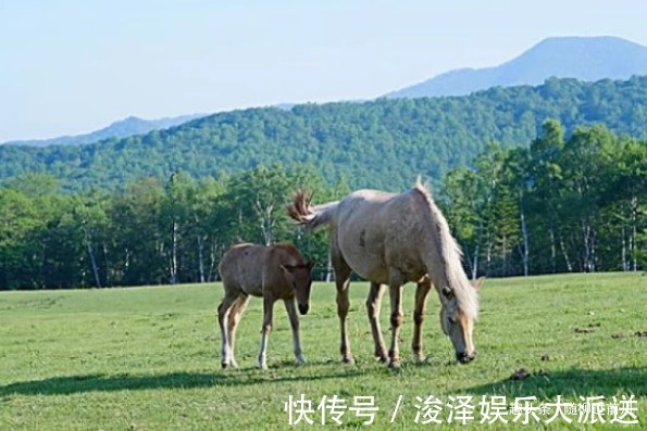 生财之道|属马人明后两天不要去这些地方，老人说的话不假！