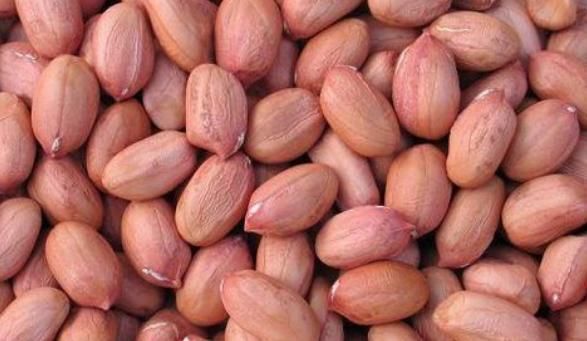 花生米|坚持每天早上吃花生,半月左右,八成会有3个好处“不请自来”