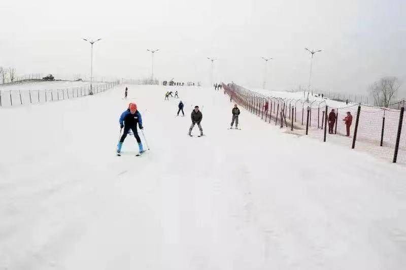 滑雪场|生龙活虎庆新年，山东冰雪旅游成新时尚