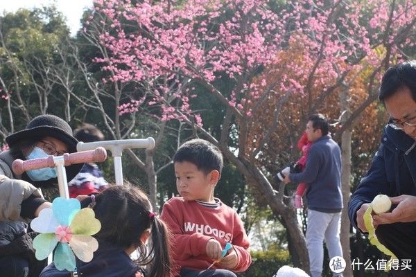 郊野公园|心想游，心想有，心享游 篇二十一：上海人少景美赏春处，嘉北郊野公园