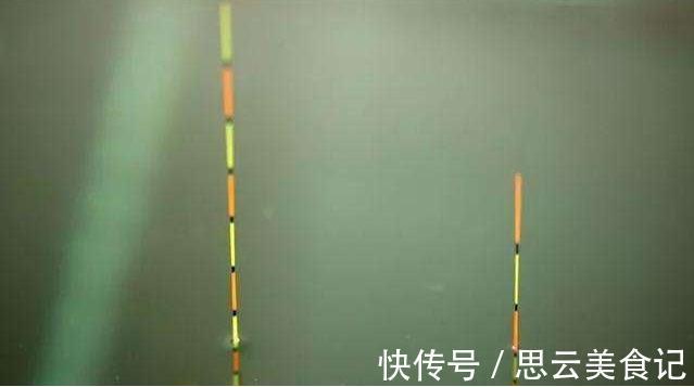 饵团|调四钓二，只需三个步骤，就可以做到下钩触底