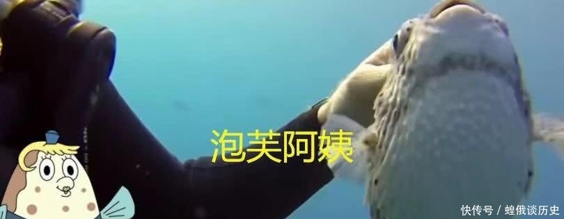 泡芙|海绵宝宝现实vs动漫，蟹老板OK，海绵宝宝恐惧，泡芙阿姨可爱