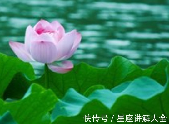 称心如意|7月开始，4属相时来运转，事业蒸蒸日上，生活称心如意