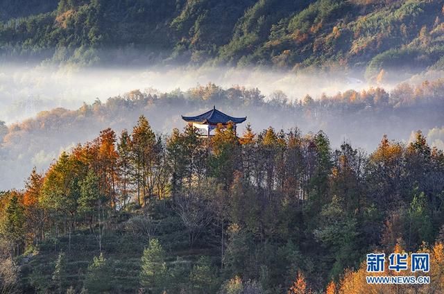 晨雾薄如轻纱，安徽潜山田园绚丽缤纷，静美如画|图说 | 平流雾