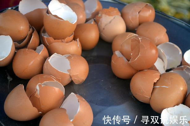 妙用|扔鸡蛋壳相当于在扔钱,放在家里可以省下好几百,花钱都买不到