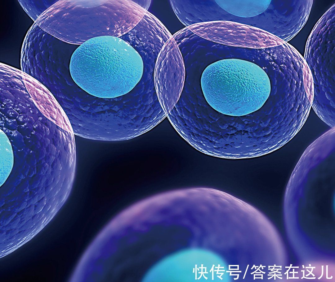 平均寿命@人类理论上能活1000岁,为何余下的900多岁,无故“消失”了?