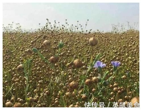 女人|更年期长斑长皱纹？俏女人在喝它，补充雌激素，肤色白皙再美9年