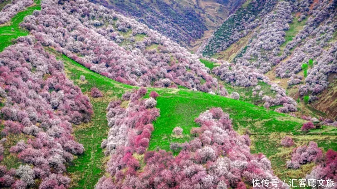 翻雪山穿沙漠，流连异域小镇，寻访新疆烂漫“花火”