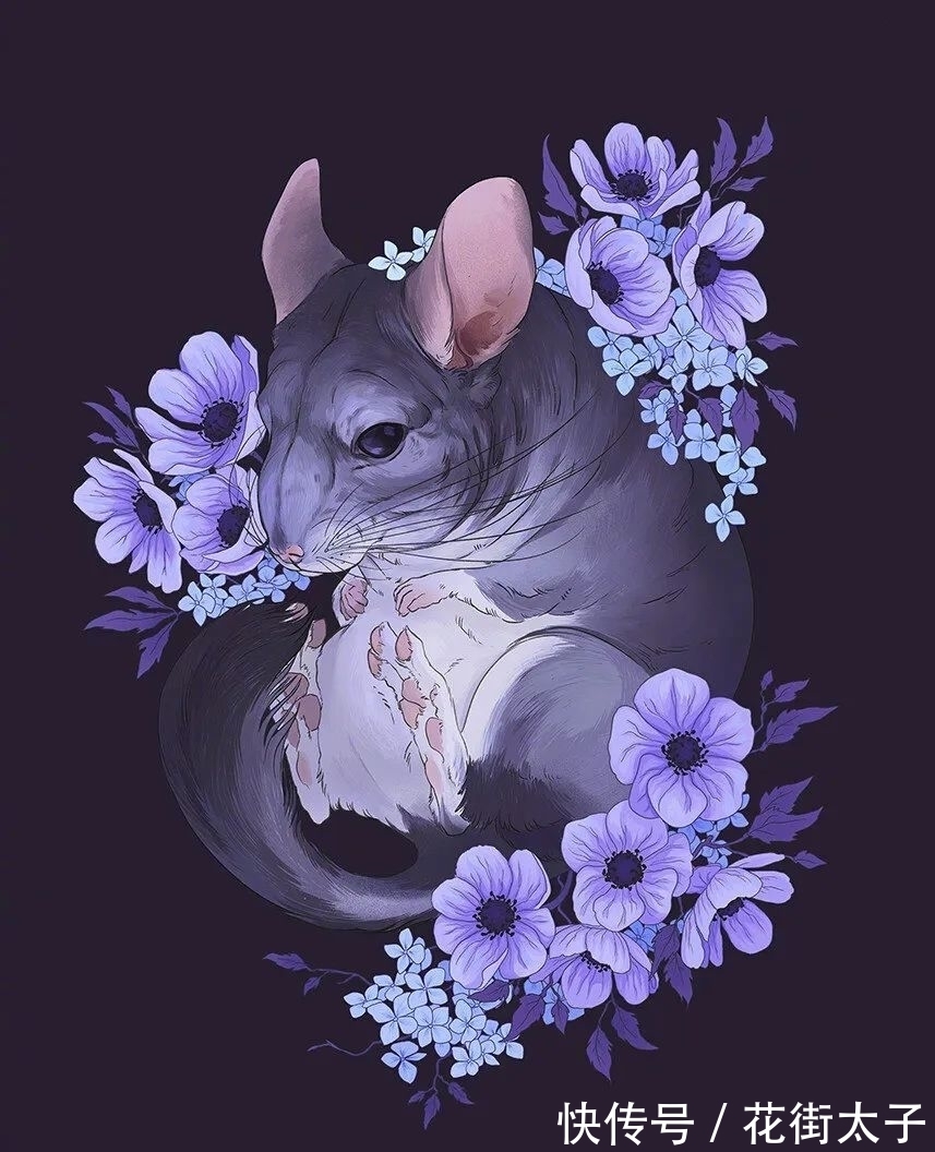 荒野$艺术守护荒野|万物生灵的和谐之美