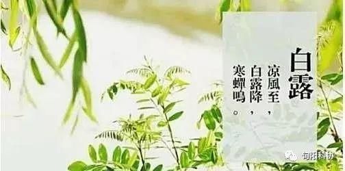 白露|科学养生：进入白露后养生小常识