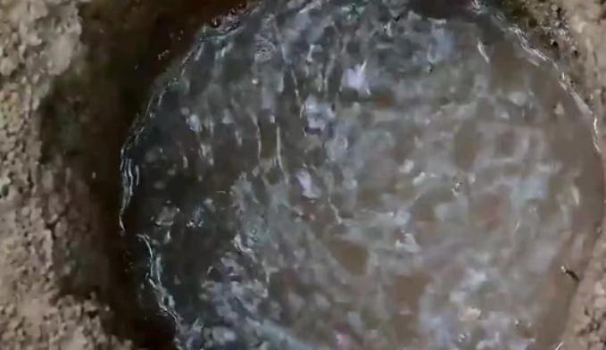 李子柒自制绿豆芽，看到她制作的方法后，网友这也太费心思了吧