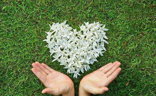  通风|想要养好花，只要知道这7件事