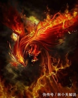 小伙子|30岁的南京小伙子花了5年时间写了一长篇小说,并因此而成名