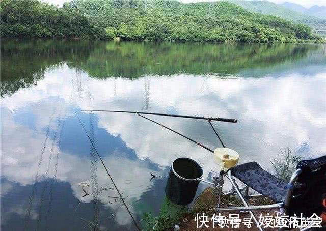 浮漂有动作，提竿却不中鱼，这种情况该如何应对