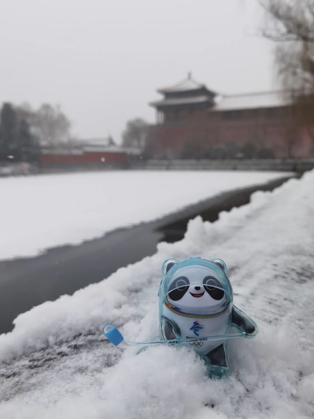 奥运|下雪天和冬奥会更配，冰墩墩也去故宫拍照啦