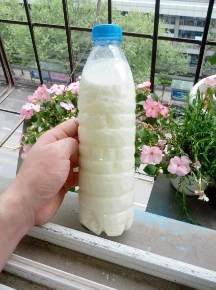 植株|夏天养花，花友们常有的“坏毛病”，难怪花草烂根、黄叶