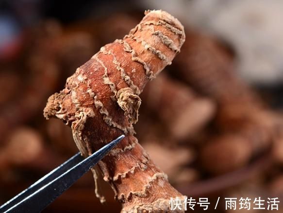 不管炖什么肉，都要记得加这2味料，怎么炖怎么香，腥味统统溜走