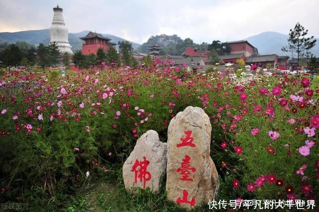中年|佛教圣地五台山盛夏旅游当首选;风景庙宇与美食回味无穷记心间