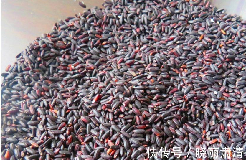 黑米酒酿|天冷了,少吃柿子多吃它,一次做好存冰箱,随吃随取,特省事