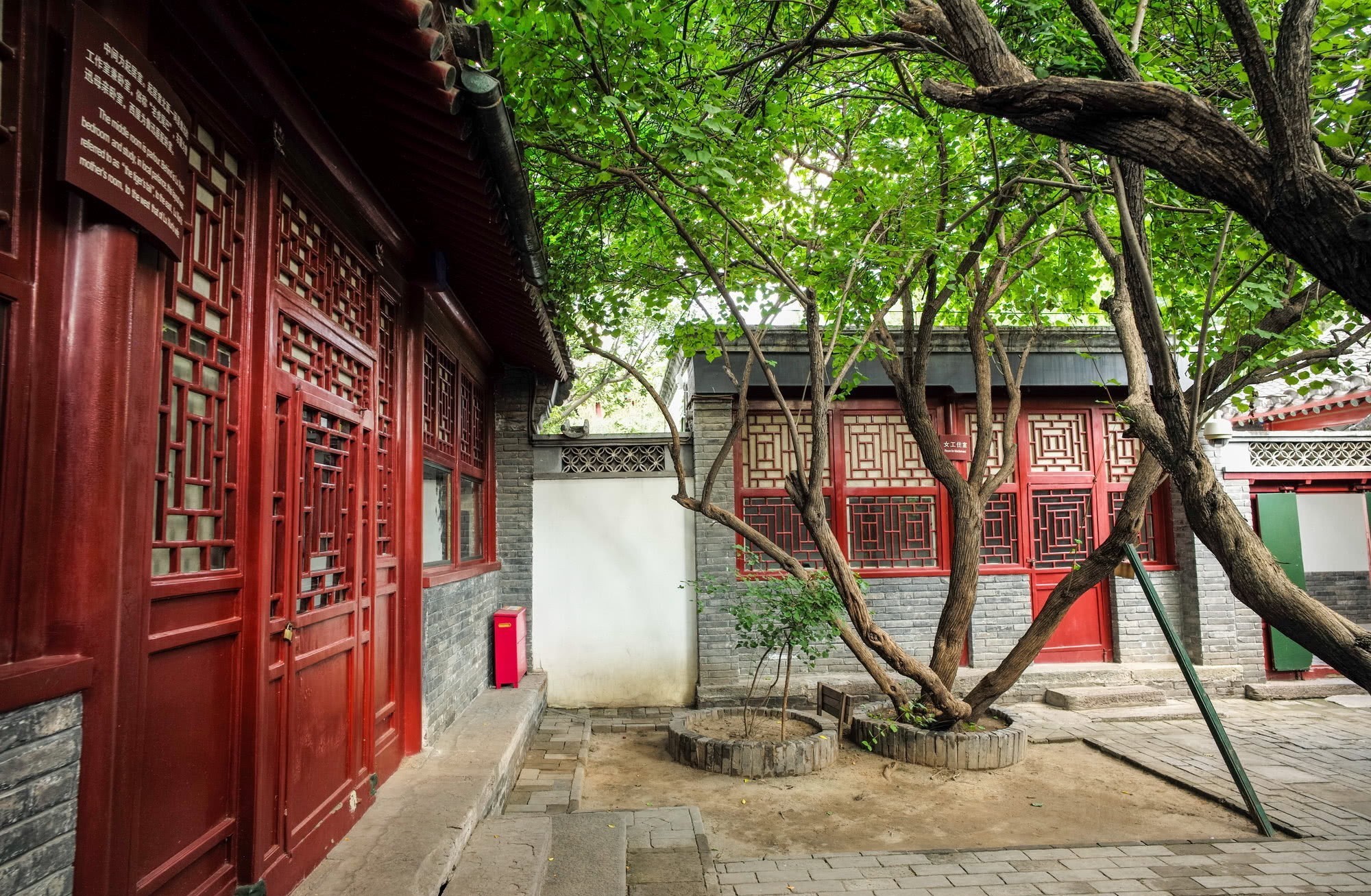 小巷|这小巷中两棵枣树有何神奇,众人争相参观,还引发百年争议