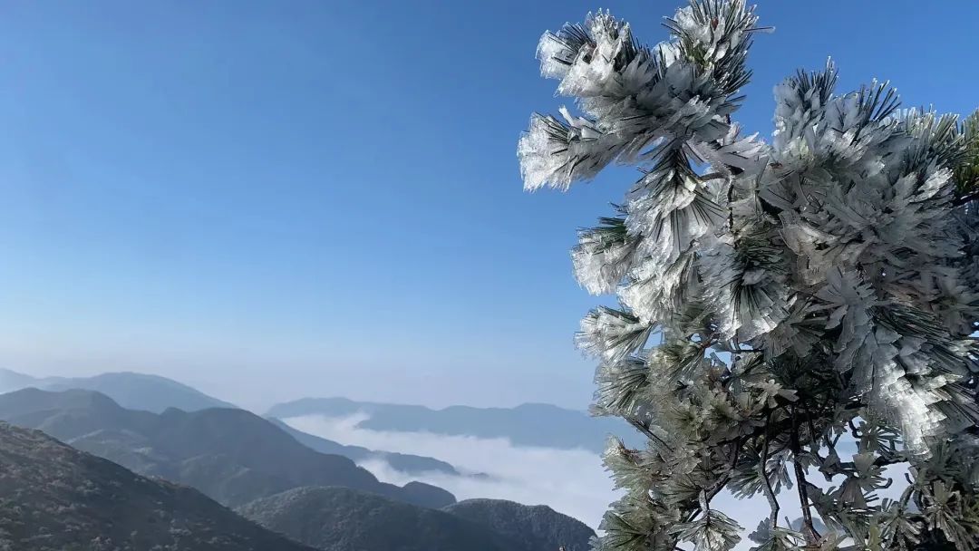 奇景|奇景！一起走进1929米的“冰雪奇缘”！