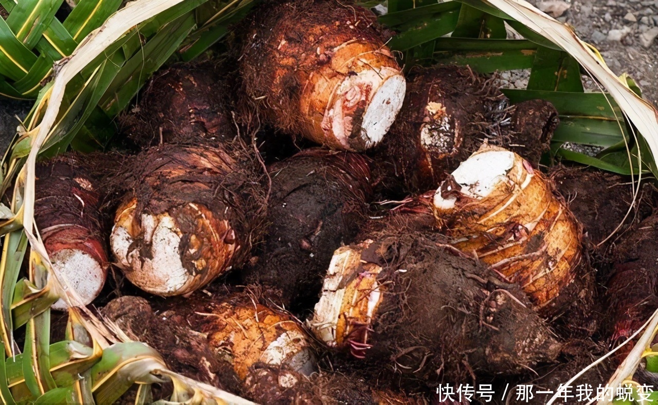 芋头|人到中年想长寿,推荐多吃3种食物,降压减肥,滋润肌肤
