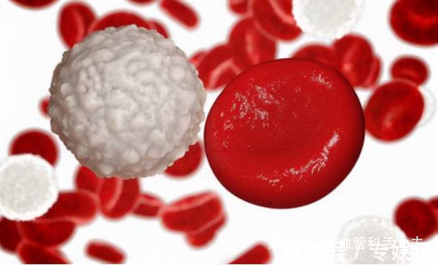 药物|亲人癌症晚期,是砸钱吃靶向药延长生命,还是放弃治疗