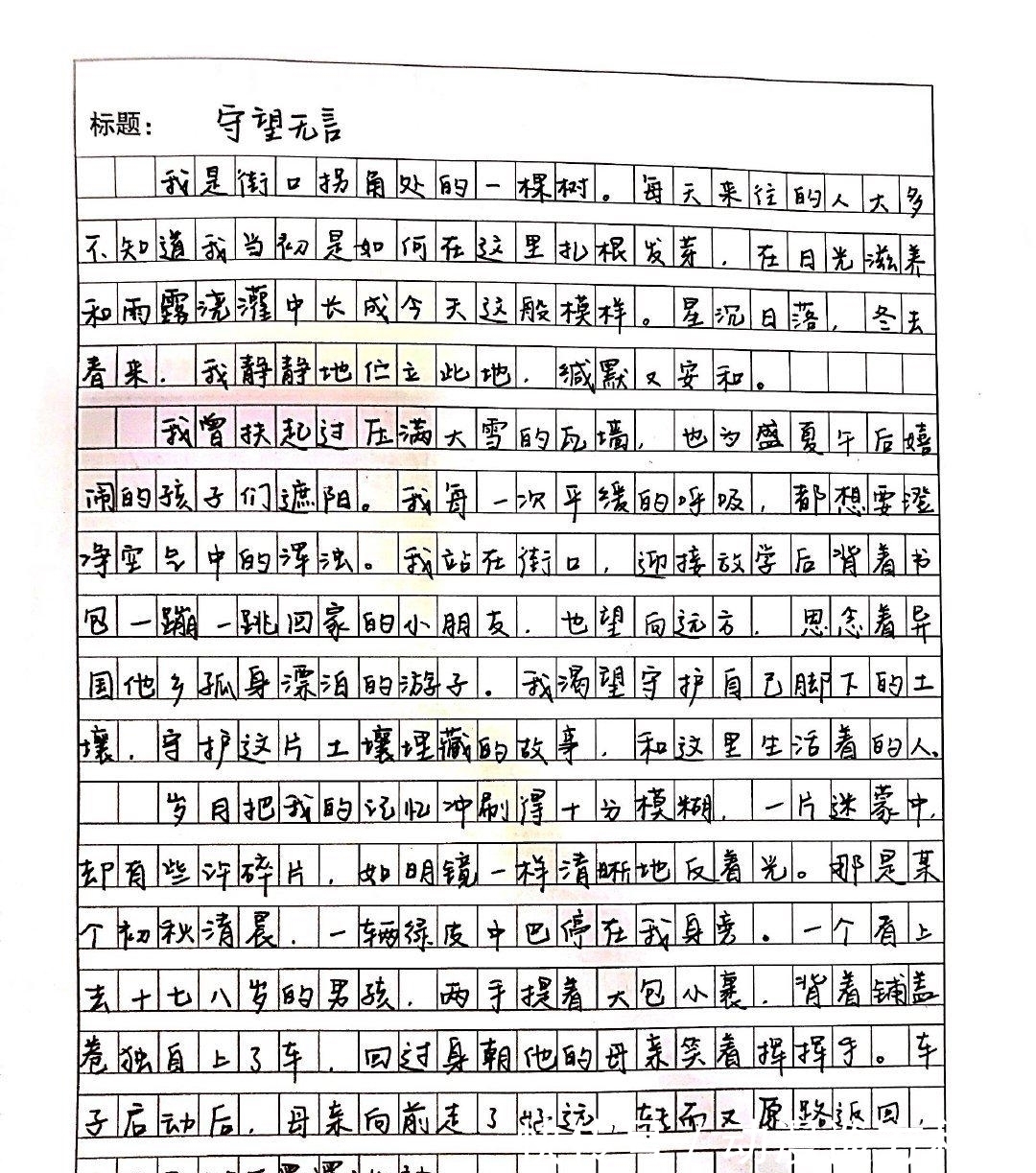 作文|王俊凯粉丝大秀才艺,diy作品无敌了,获奖作文也很棒