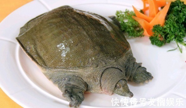 分解酶|天天和芹菜打交道,才发现芹菜的一种吃法还有毒,赶快告知家人