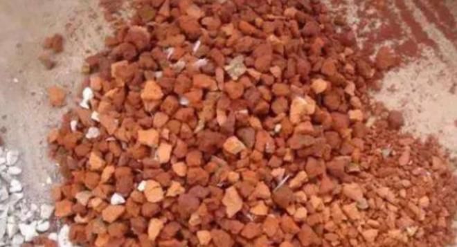 不为人熟知的养花秘诀：怎么合理使用红砖达到调节效果？