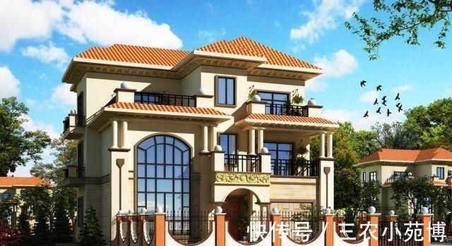 面宽|面宽11米, 进深16.5米的农村三层别墅, 前后有花院还带车库, 完美!