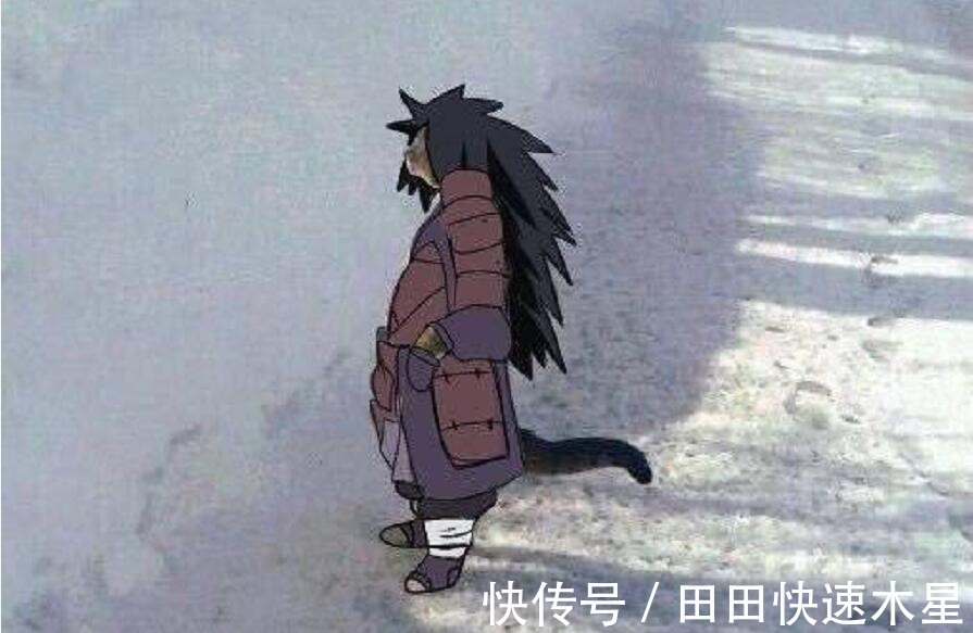我爱罗|当猫cosplay《火影》,认出斑爷,认出鼬,能认出小樱吗