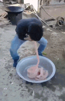 |搞笑GIF:就这毛,你看咱们适合做兄弟吗?