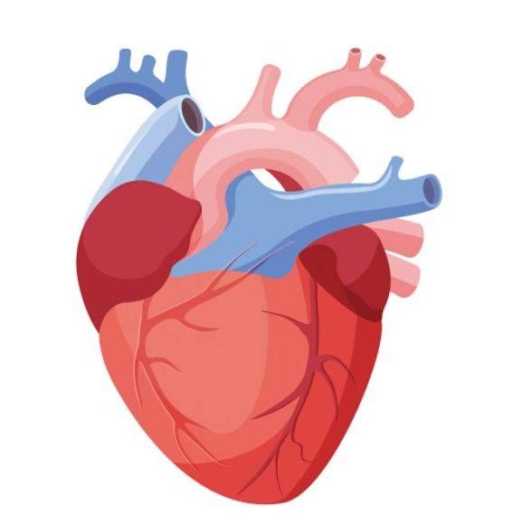 心梗来临前|心梗发生前,脸上有4种表现,保护心脏健康,谨记“3多、3少”