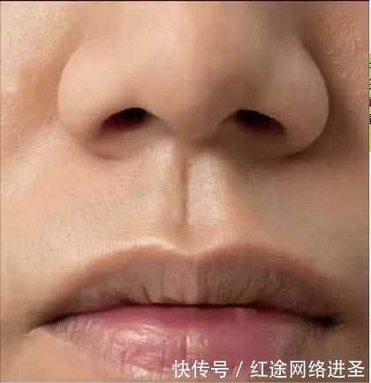 蚊子|你不知道的冷知识：第一个细思极恐，第五个一般人做不到！