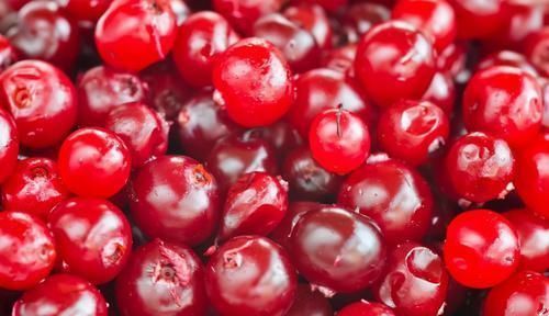 蔓越莓|每天晚上坚持吃3种食物,营养丰富,护肝明目,好处多多!