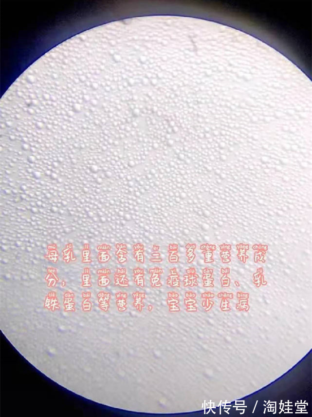 发育|你晓得,母乳能纯净到何种程度吗?放大千倍后的母乳“活”了
