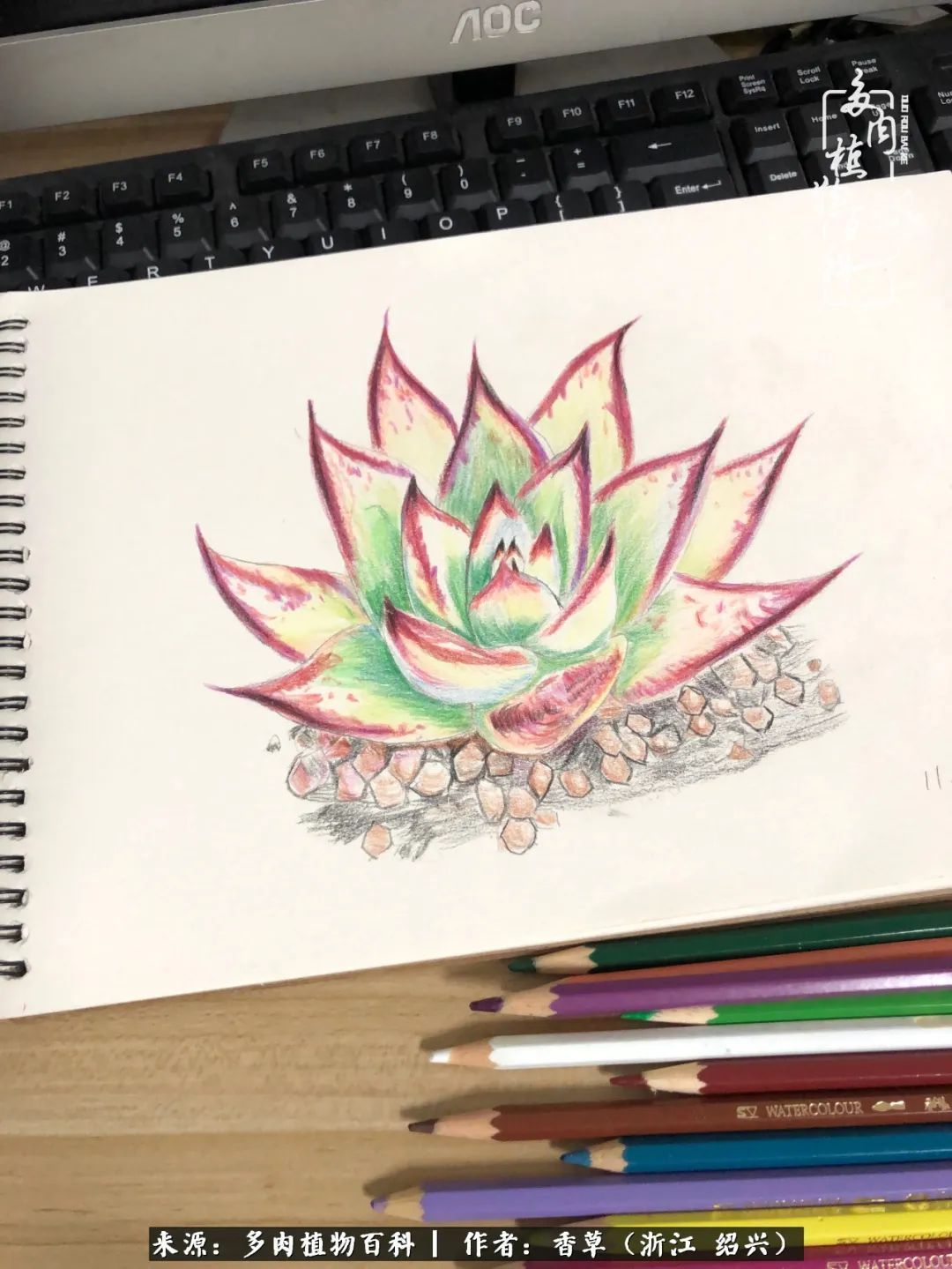 阳台上的一亩三分地,我愿与你一起,与时光媲美!