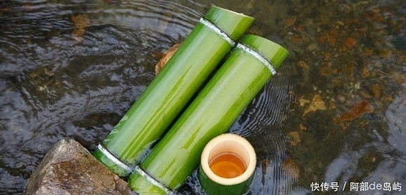 凝滞|志气高节,一身是药,清热化痰止呕逆,虽性寒却不凝滞!