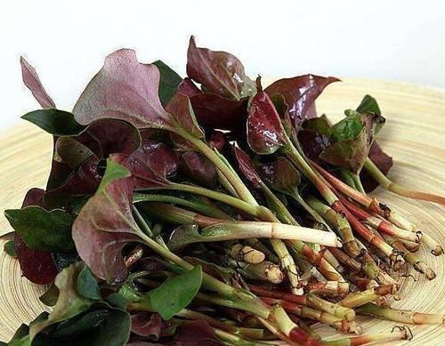 推薦立春后吃的食物，女人莫錯過，預防便秘，緩解疼痛感，肌膚好