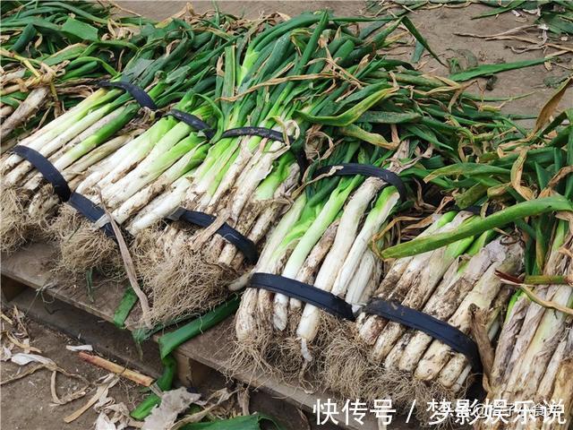 保存大葱挺简单,不干瘪不空心,囤20斤吃一冬,随吃随取很方便