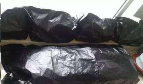 分化|长寿花还不长花苞,赶紧找个袋子套一套