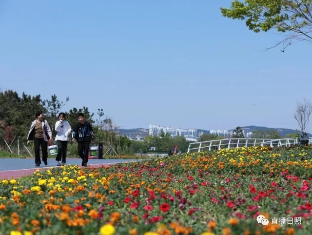 日照，热闹起来了!