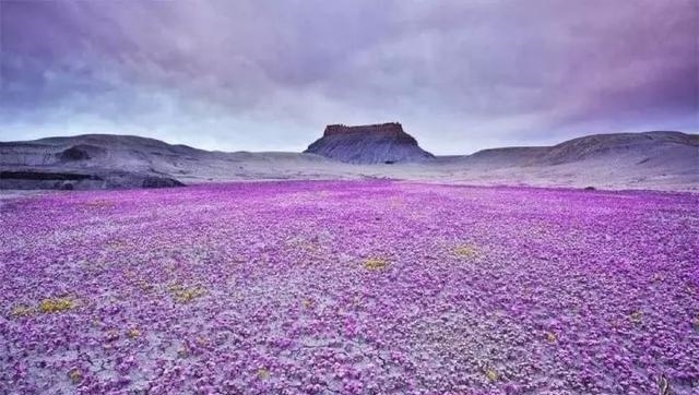 双胞胎兄弟 盘点地球那些事:一天不是24小时,地球还有“双胞胎兄弟”?